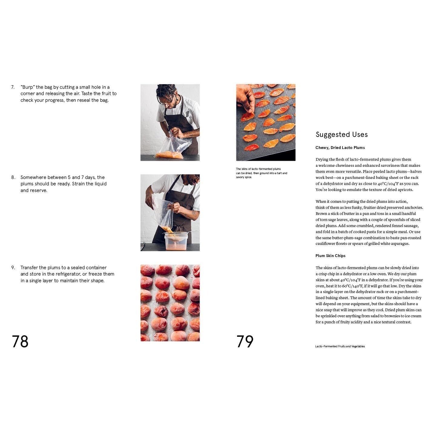 The Noma Guide to Fermentation: Including Koji, Kombuchas, Shoyus, Misos, Vinegars, Garums, Lacto-Ferments, and Black Fruits and Vegetables