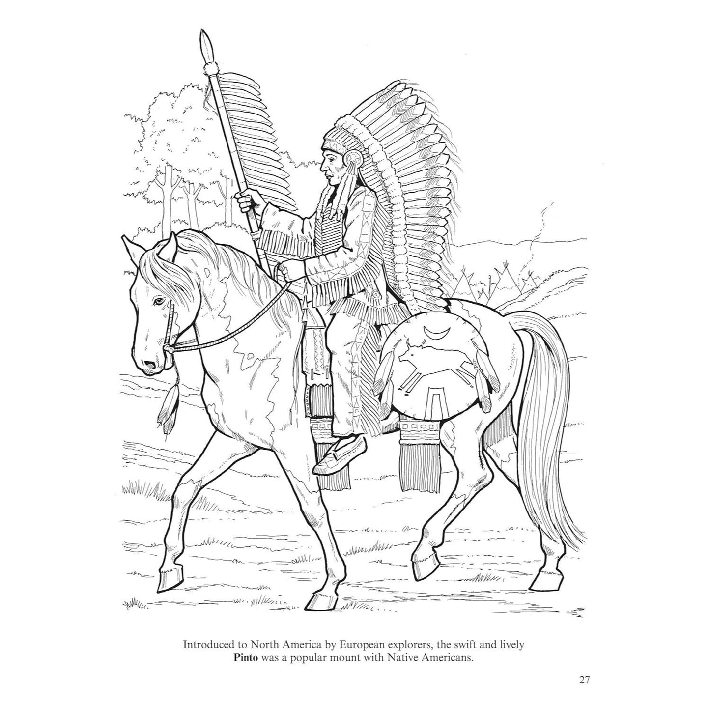 Big Book of Horses to Color