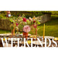 Nights and Weekends: Recipes That Make the Most of Your Time - A Cookbook