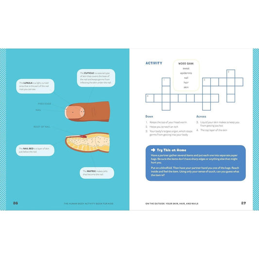 Human Body Activity Book for Kids: Hands-On Fun for Grades K-3 (Spiral Bound)