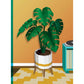 Paint by Sticker (Official): Plants and Flowers: Create 12 Stunning Images One Sticker at a Time!