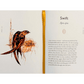 The Book of Birds: A Field Guide to Wonder and Loss