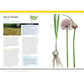National Geographic Backyard Guide to Edible Wild Plants (National Geographic Backyard Guides)