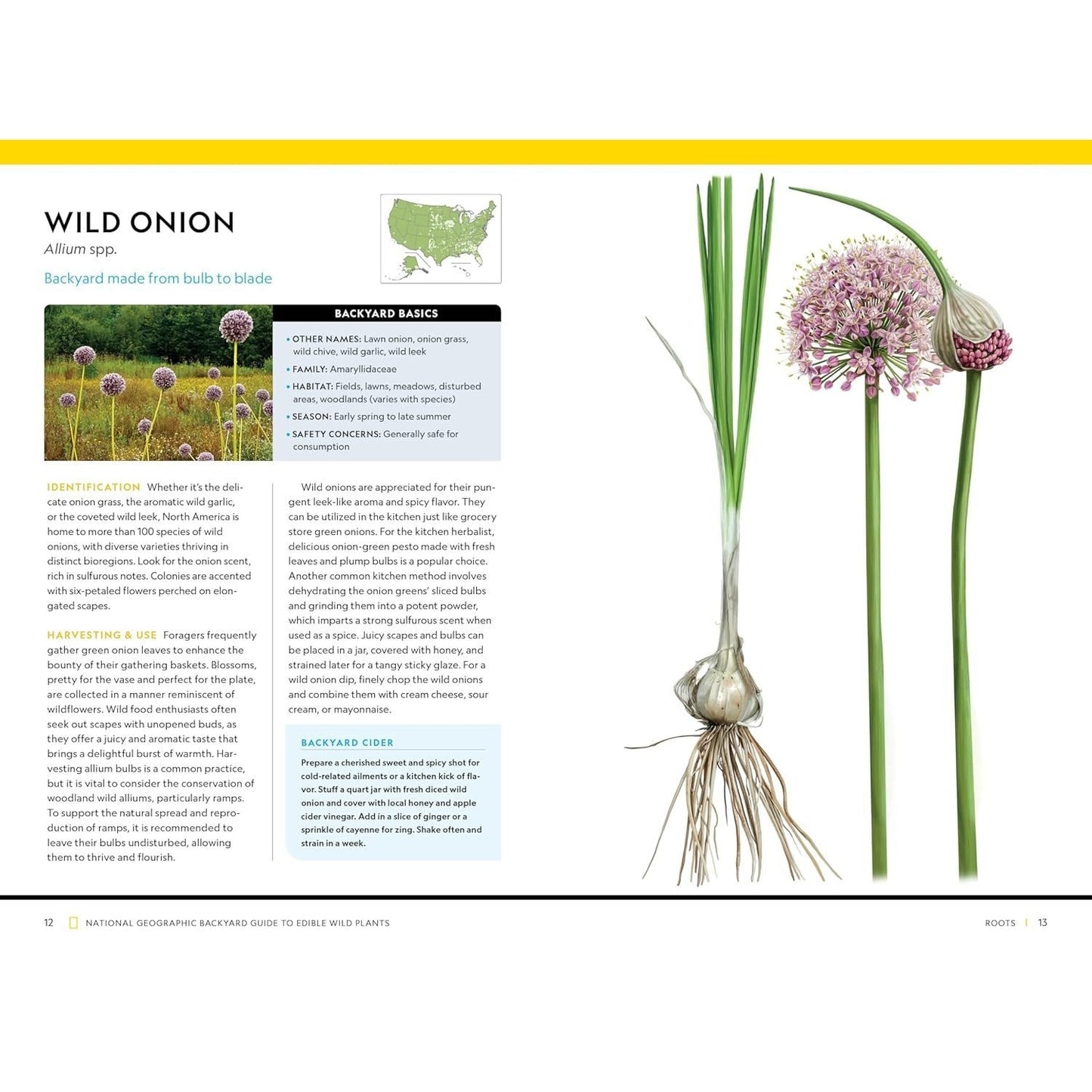 National Geographic Backyard Guide to Edible Wild Plants (National Geographic Backyard Guides)