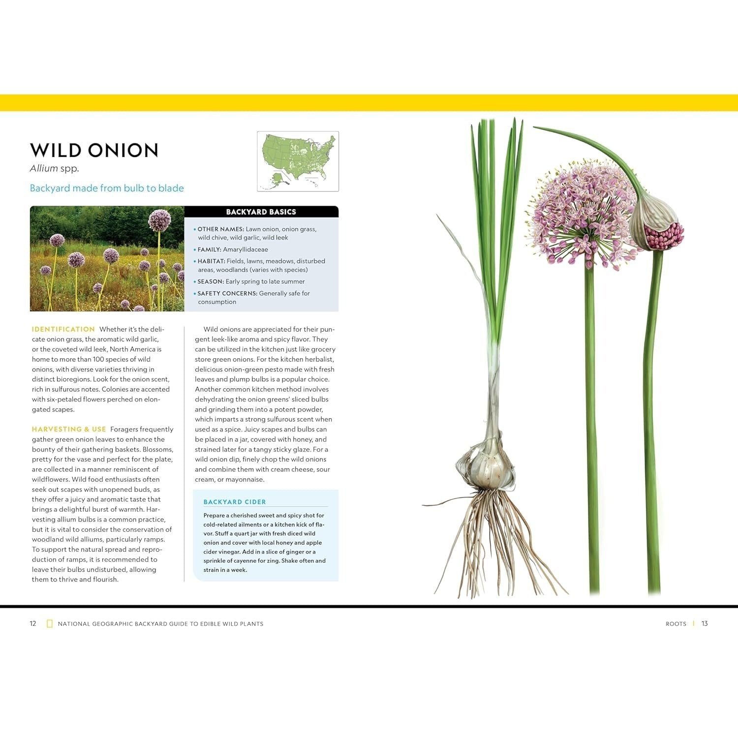 National Geographic Backyard Guide to Edible Wild Plants (National Geographic Backyard Guides)