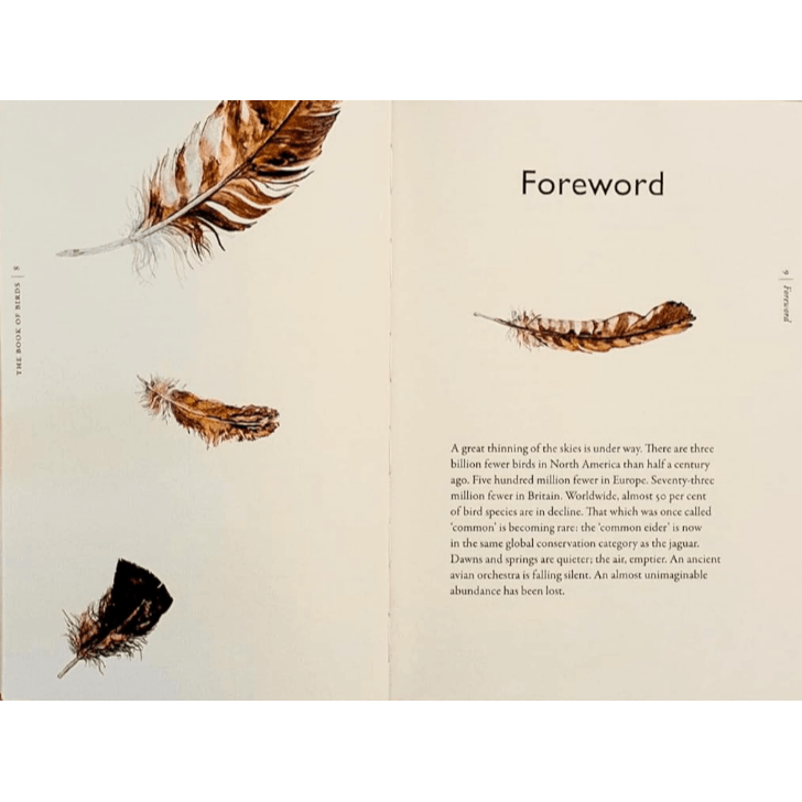 The Book of Birds: A Field Guide to Wonder and Loss