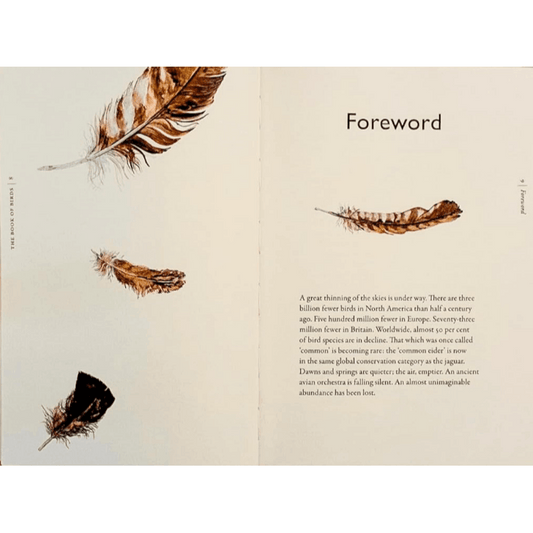 The Book of Birds: A Field Guide to Wonder and Loss