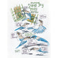 The Backyard Bird Chronicles (Spiral Bound)