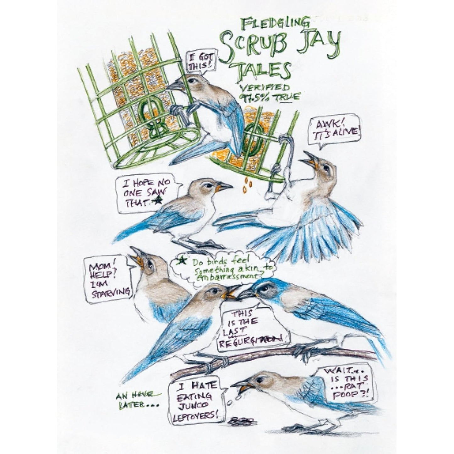 The Backyard Bird Chronicles (Spiral Bound)
