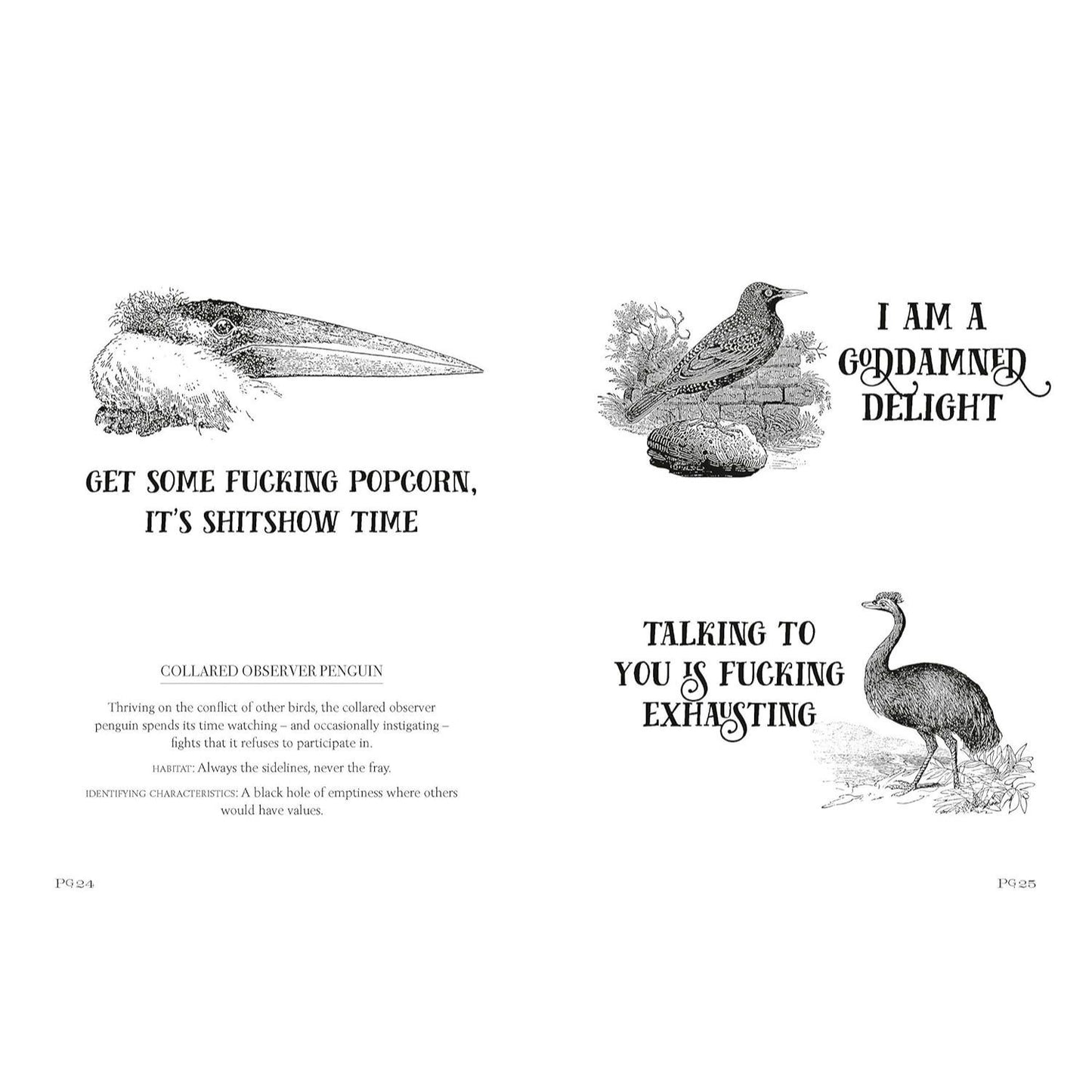 Effin' Birds: A Field Guide to Identification