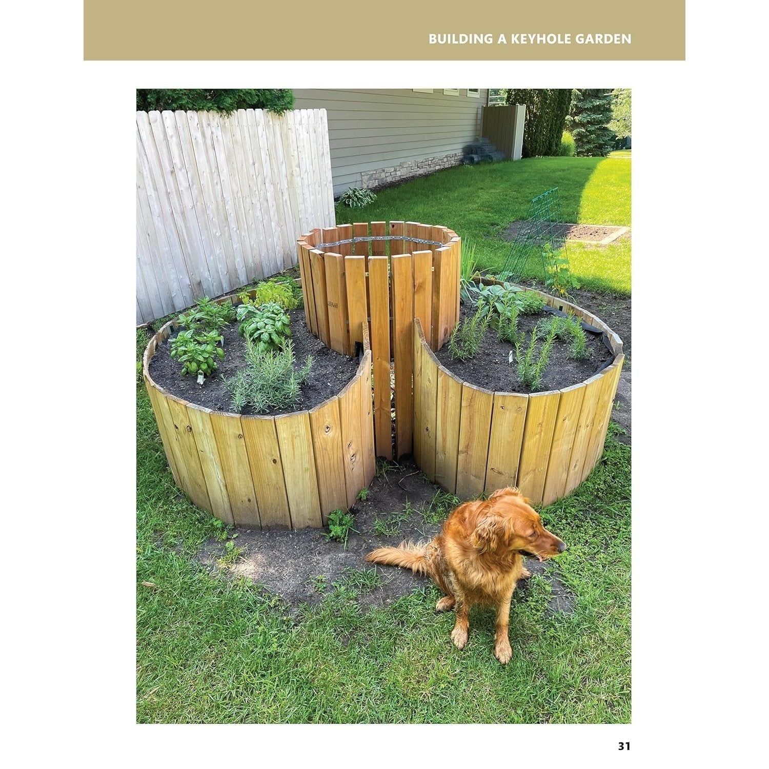 50 Projects for Building Your Backyard Homestead, Updated Edition: A Hands-On, Step-By-Step Sustainable-Living Guide (Revised) (Spiral Bound)