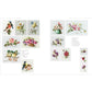 Trish Burr's Embroidery Transfers: Over 70 Iron-On Designs