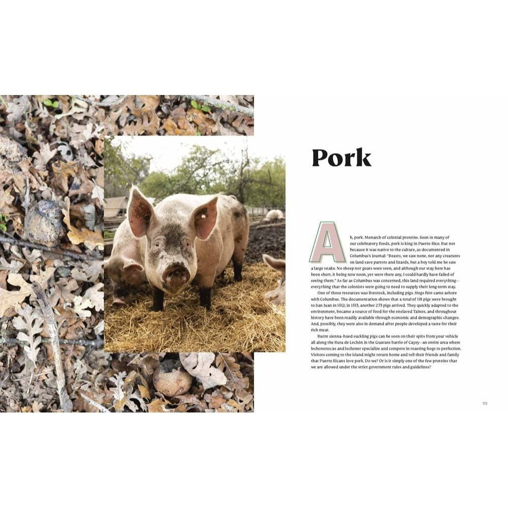Diasporican: A Puerto Rican Cookbook (Spiral Bound)