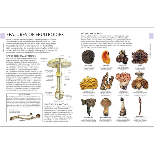 Mushrooms: How to Identify and Gather Wild Mushrooms and Other Fungi (Spiral Bound)