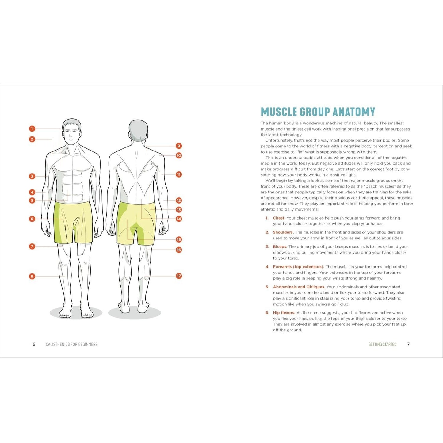 Calisthenics for Beginners: Step-By-Step Workouts to Build Strength at Any Fitness Level