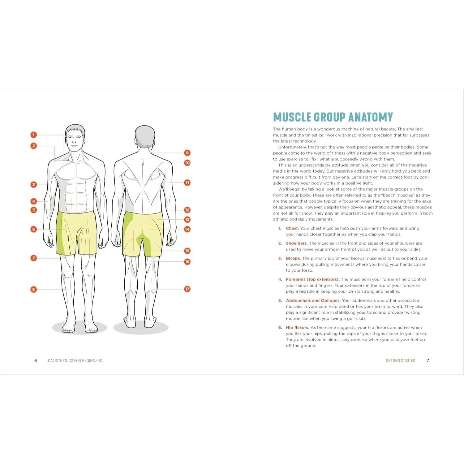 Calisthenics for Beginners: Step-By-Step Workouts to Build Strength at Any Fitness Level