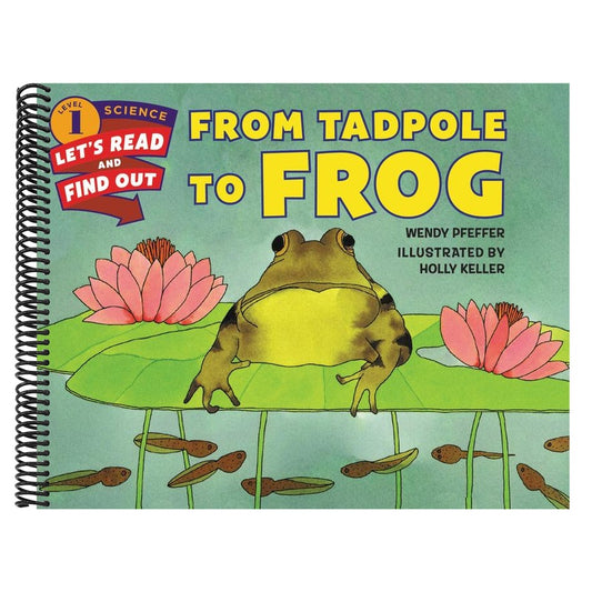 From Tadpole to Frog