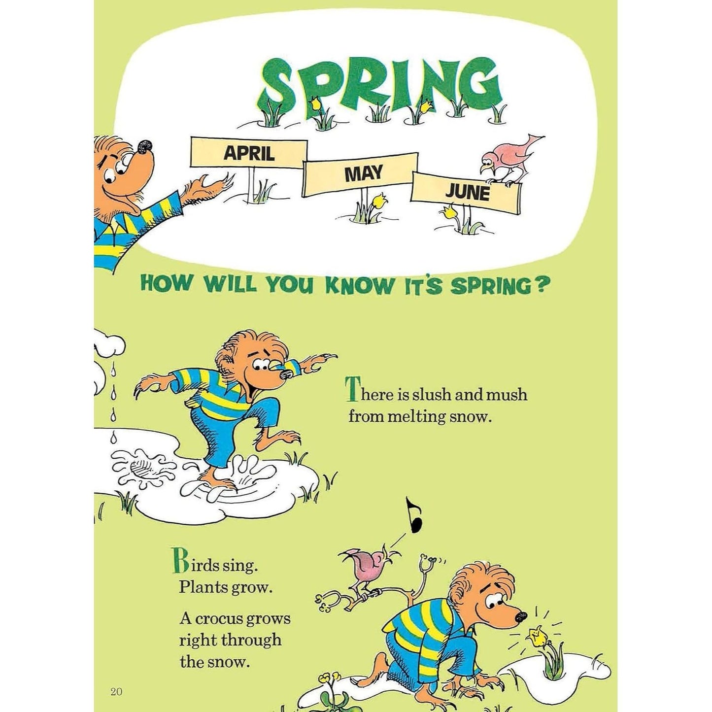 The Berenstain Bears' Big Book of Science and Nature (Dover Science for Kids)