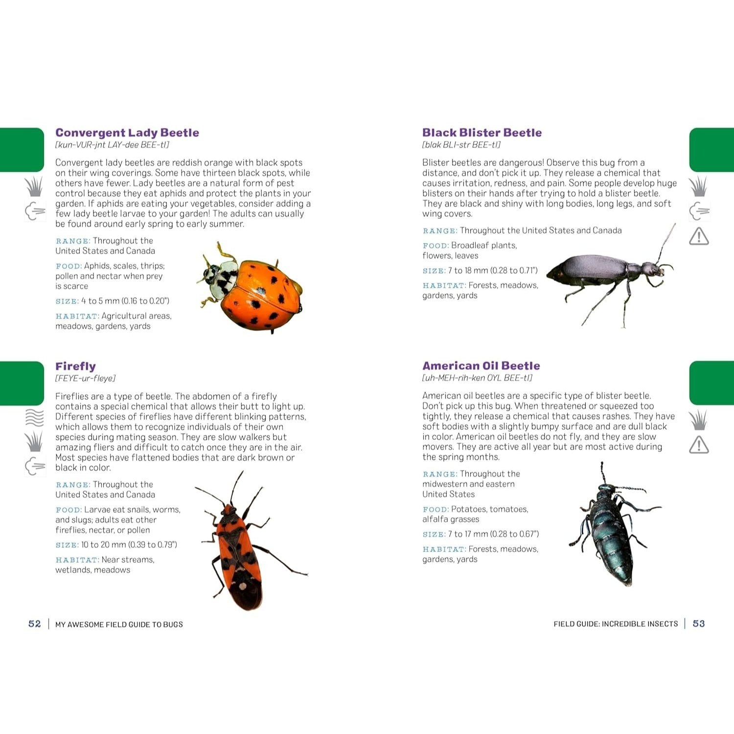 My Awesome Field Guide to Bugs: Find and Identify Your Crawling and Flying Bugs (My Awesome Field Guide for Kids)