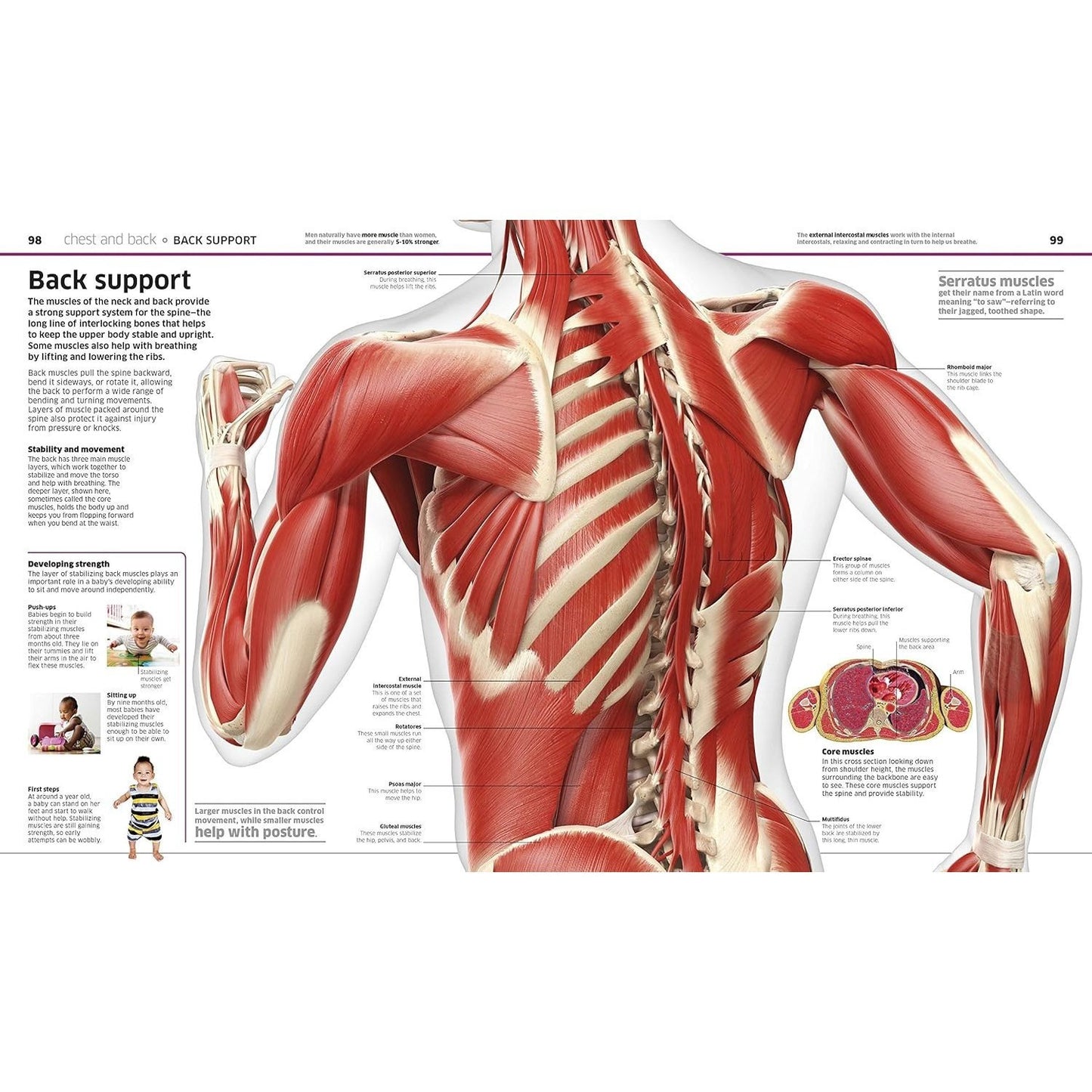 Knowledge Encyclopedia Human Body!