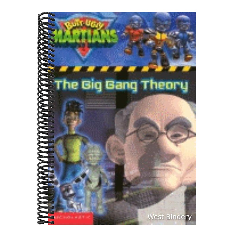 The Big Bang Theory