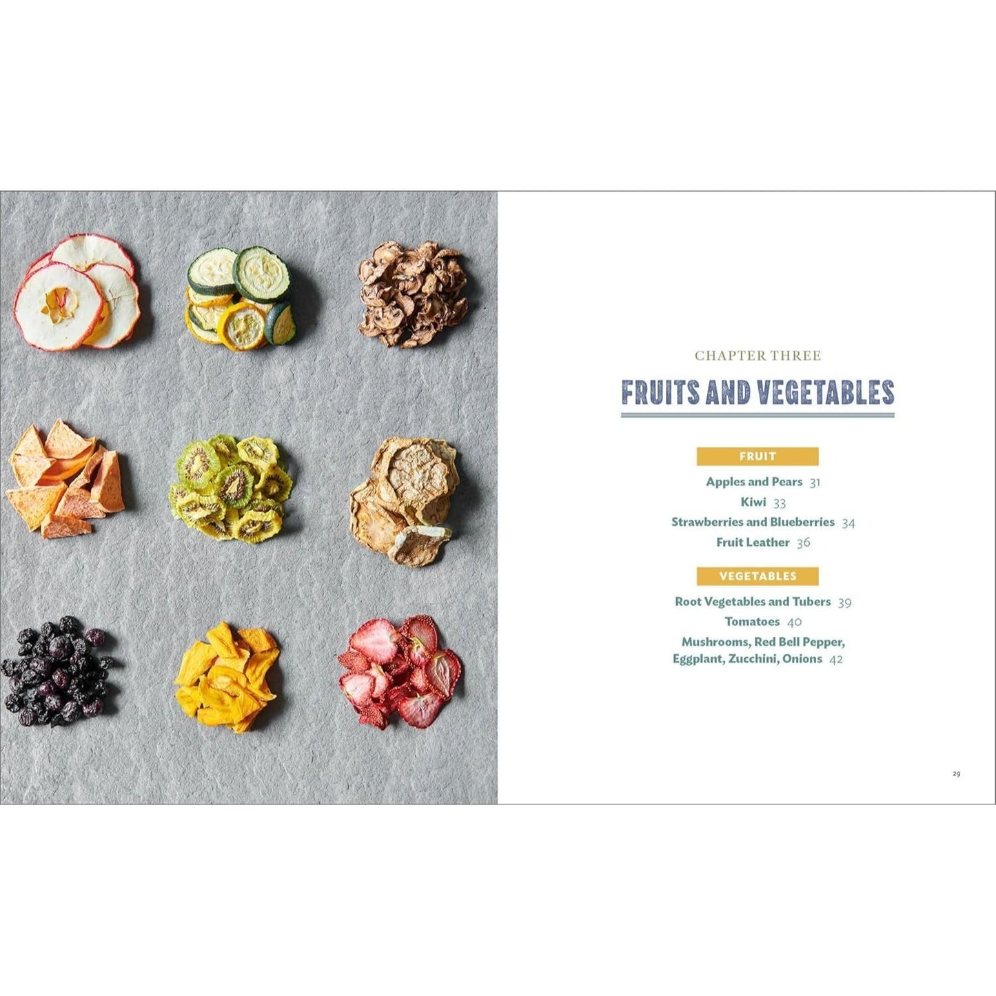 The Dehydrator Cookbook for Outdoor Adventurers: Healthy, Delicious Recipes for Backpacking and Beyond