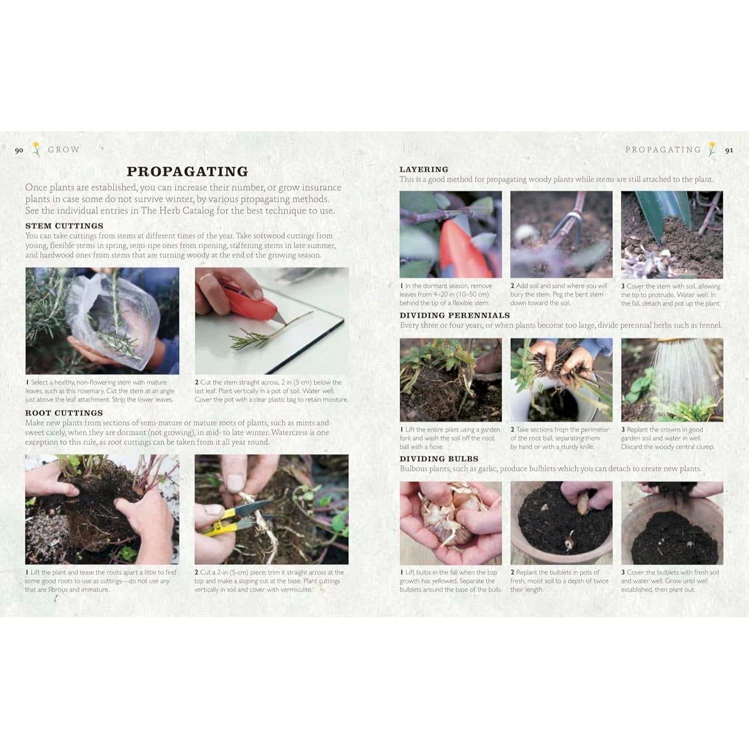The Cook's Herb Garden: Grow, Harvest, Cook (Spiral Bound)