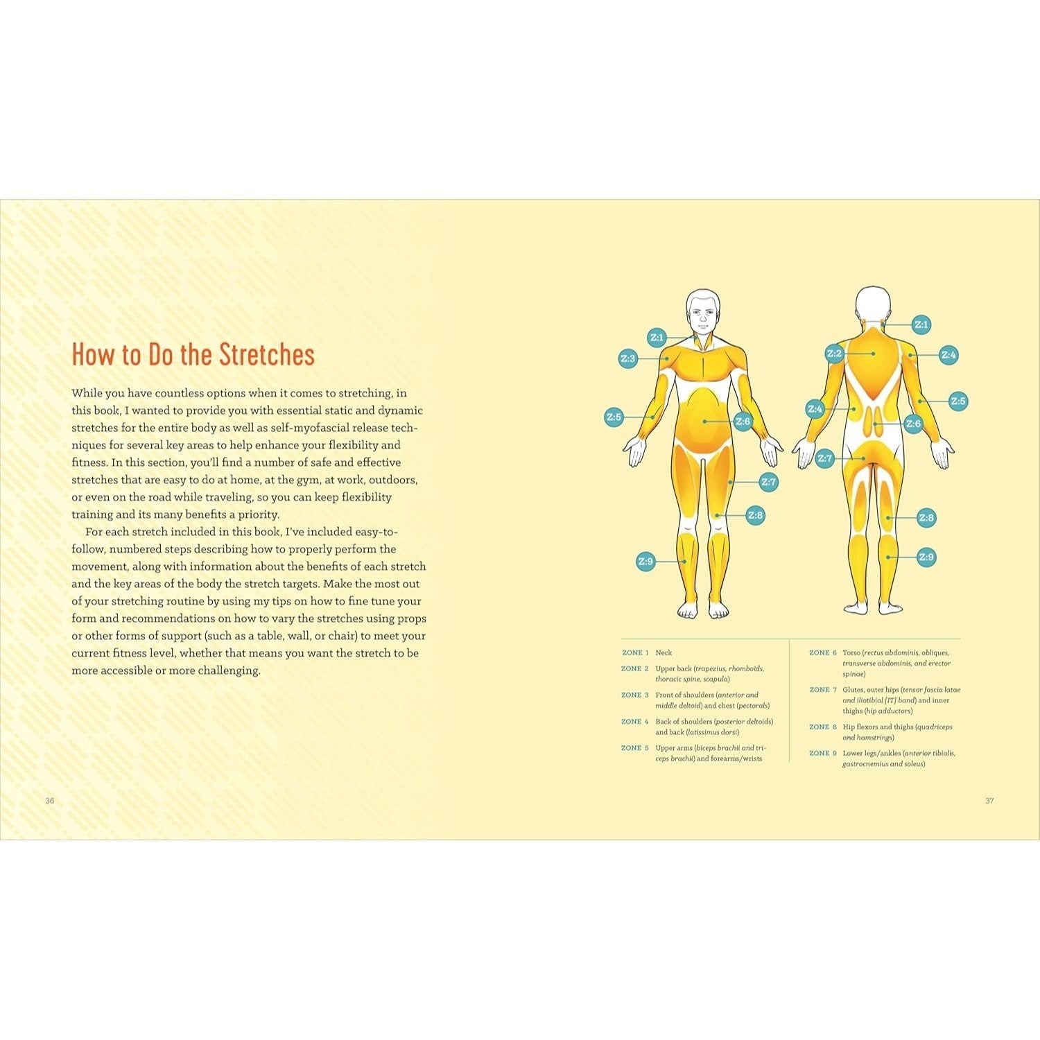 Stretching to Stay Young: Simple Workouts to Keep You Flexible, Energized, and Pain Free (Spiral Bound)