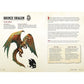 Beasts & Behemoths (Dungeons & Dragons): A Young Adventurer's Guide