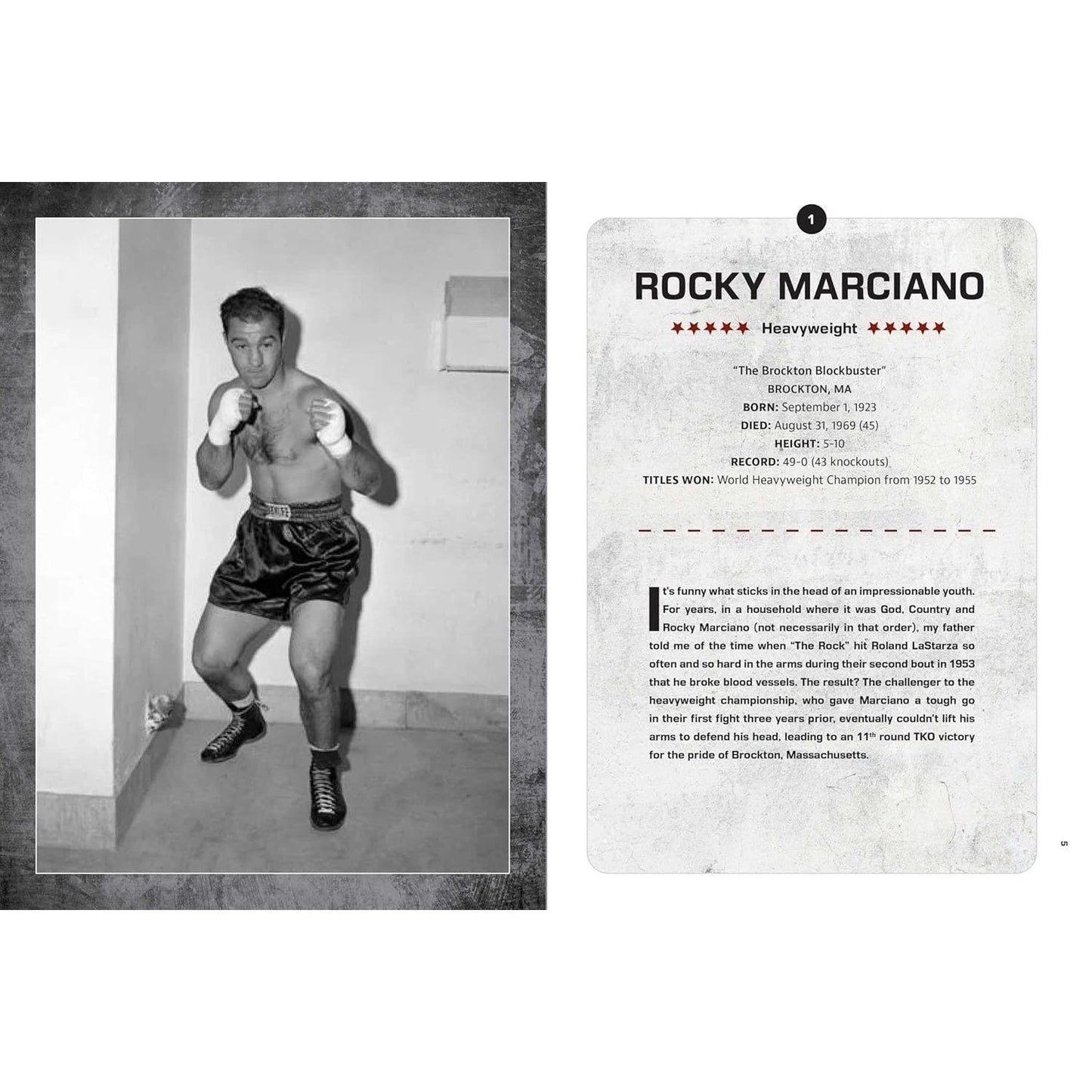 Boxing: The 100 Greatest Fighters