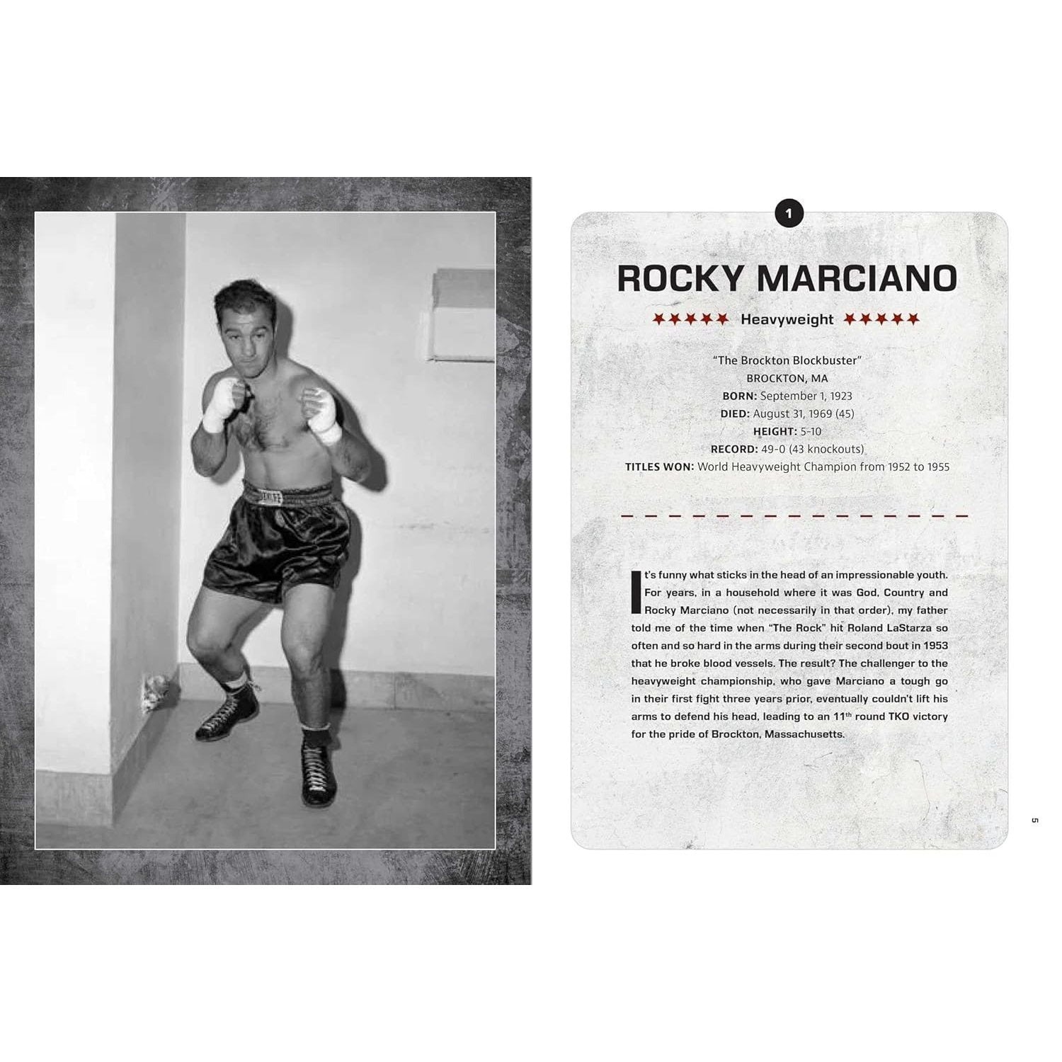 Boxing: The 100 Greatest Fighters