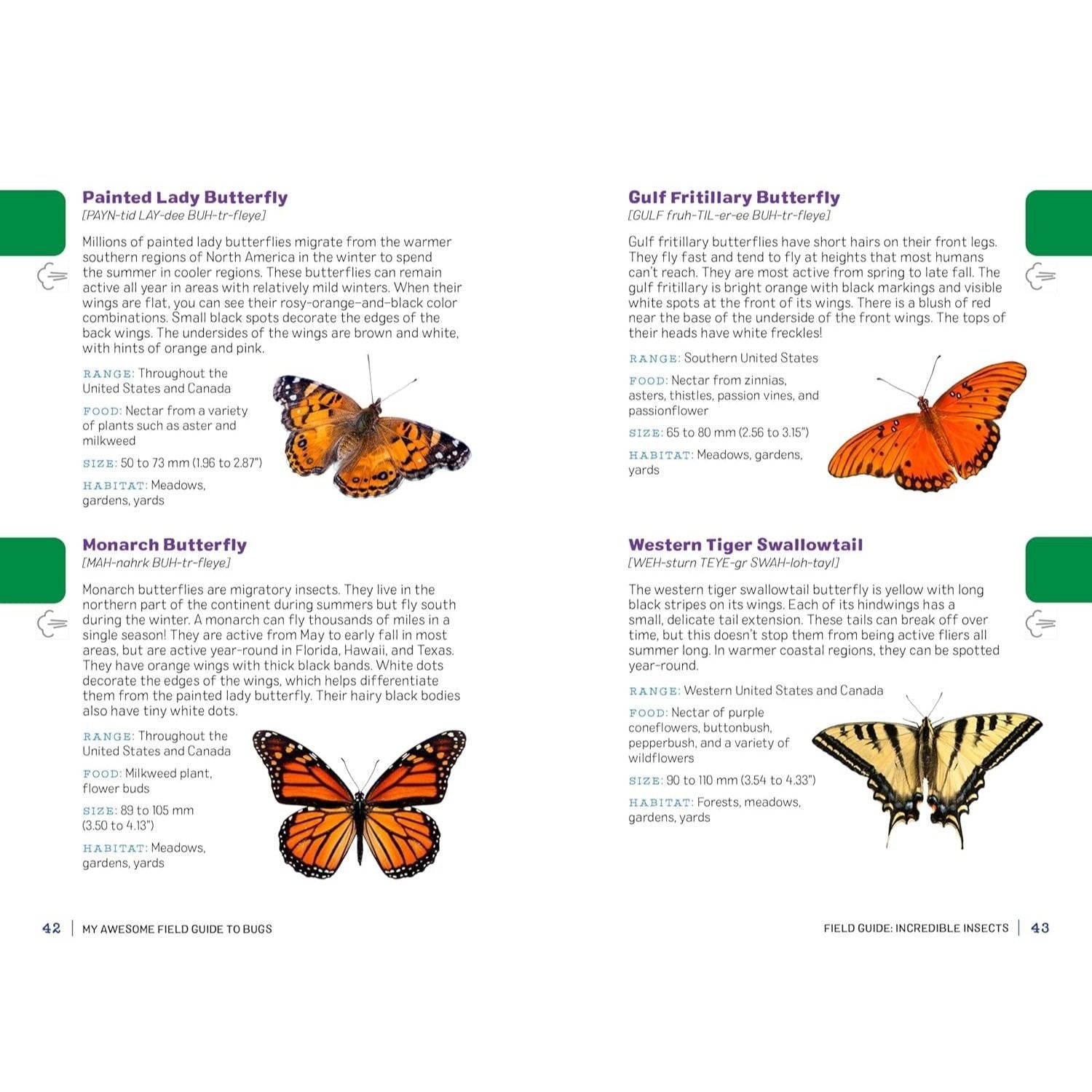 My Awesome Field Guide to Bugs: Find and Identify Your Crawling and Flying Bugs (My Awesome Field Guide for Kids)