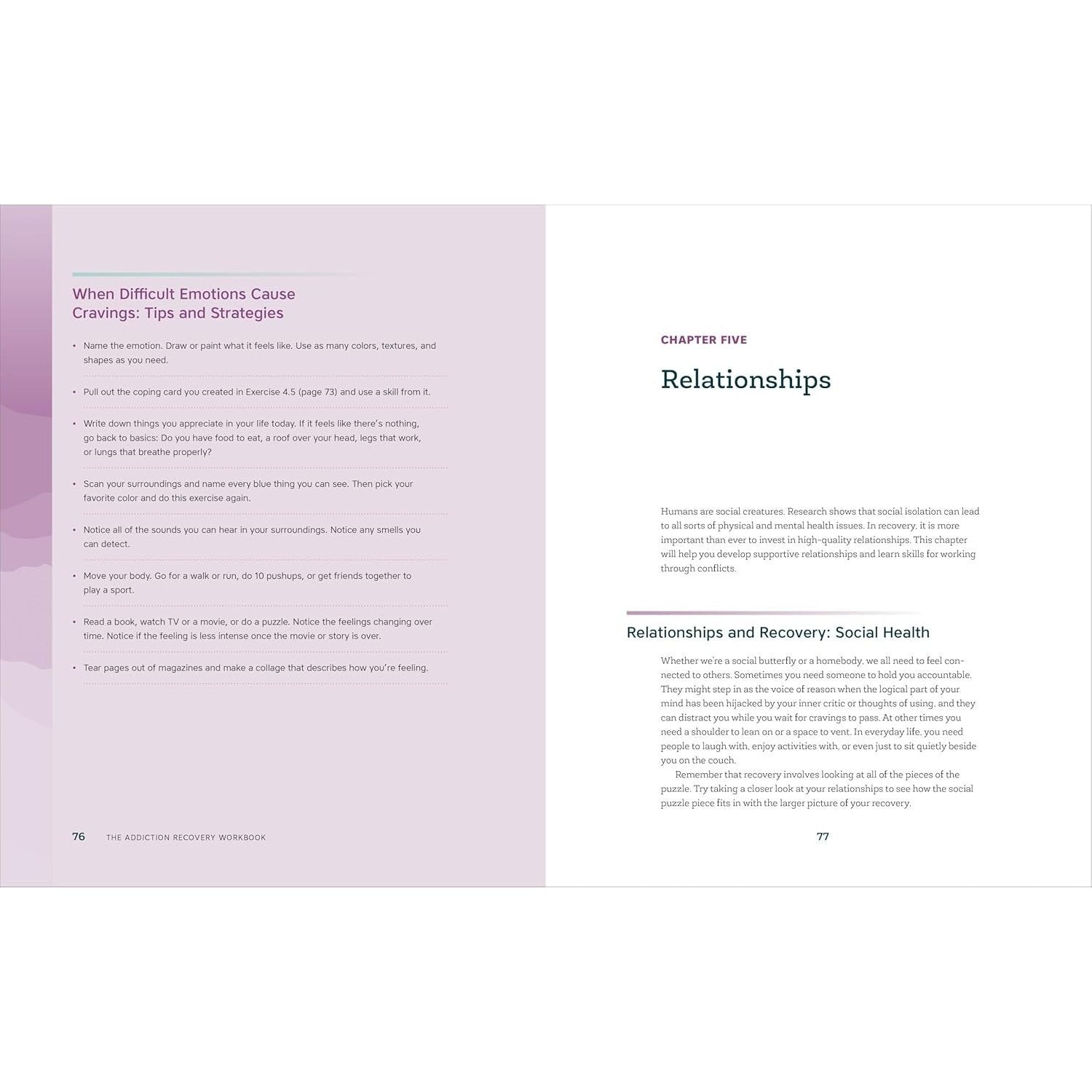The Addiction Recovery Workbook: Powerful Skills for Preventing Relapse Every Day (Addiction Recovery Resources)