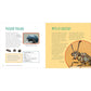 The Weird and Wonderful World of Bugs: A Book about Beetles, Butterflies, and Other Fascinating Insects