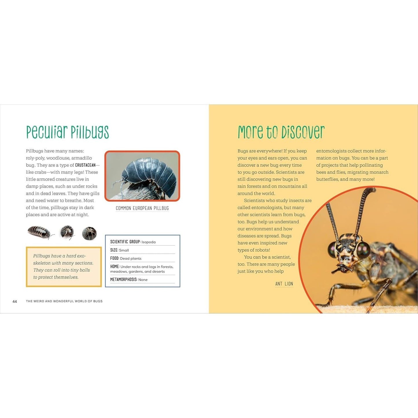 The Weird and Wonderful World of Bugs: A Book about Beetles, Butterflies, and Other Fascinating Insects