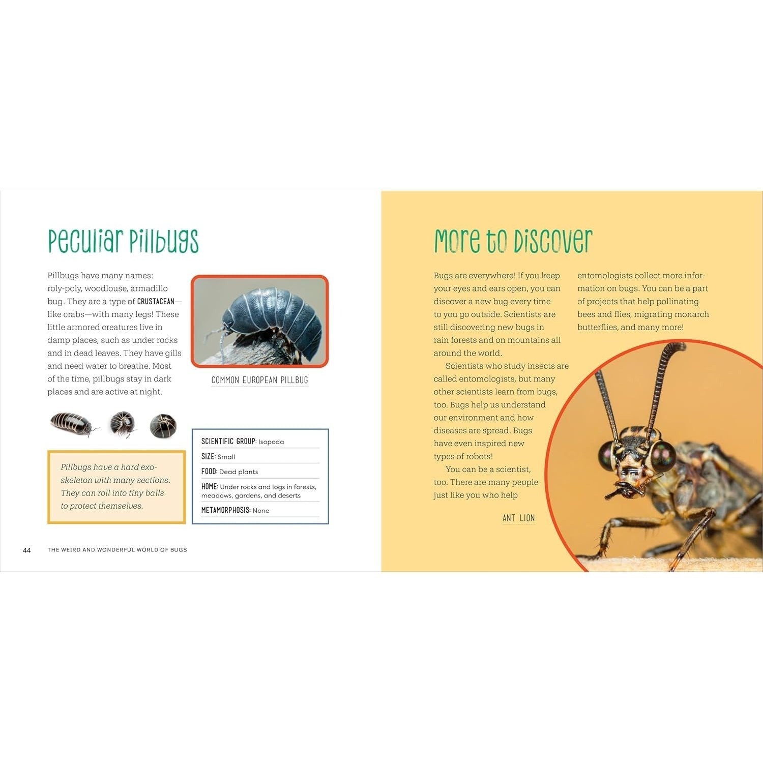 The Weird and Wonderful World of Bugs: A Book about Beetles, Butterflies, and Other Fascinating Insects
