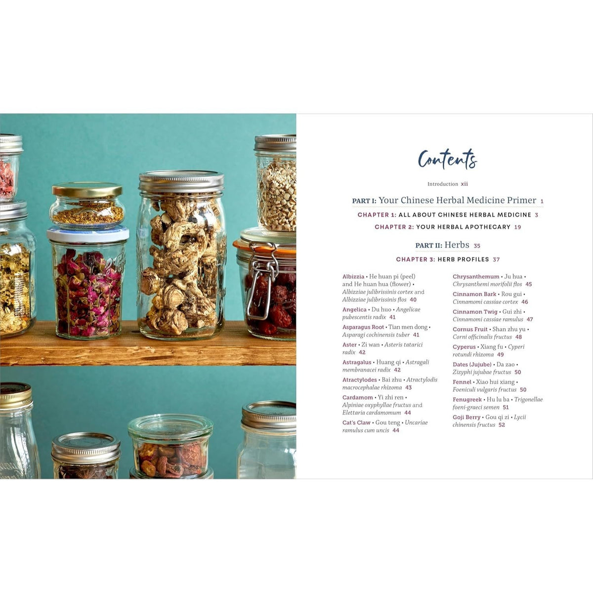 Chinese Herbal Medicine for Beginners: Over 100 Remedies for Wellness and Balance