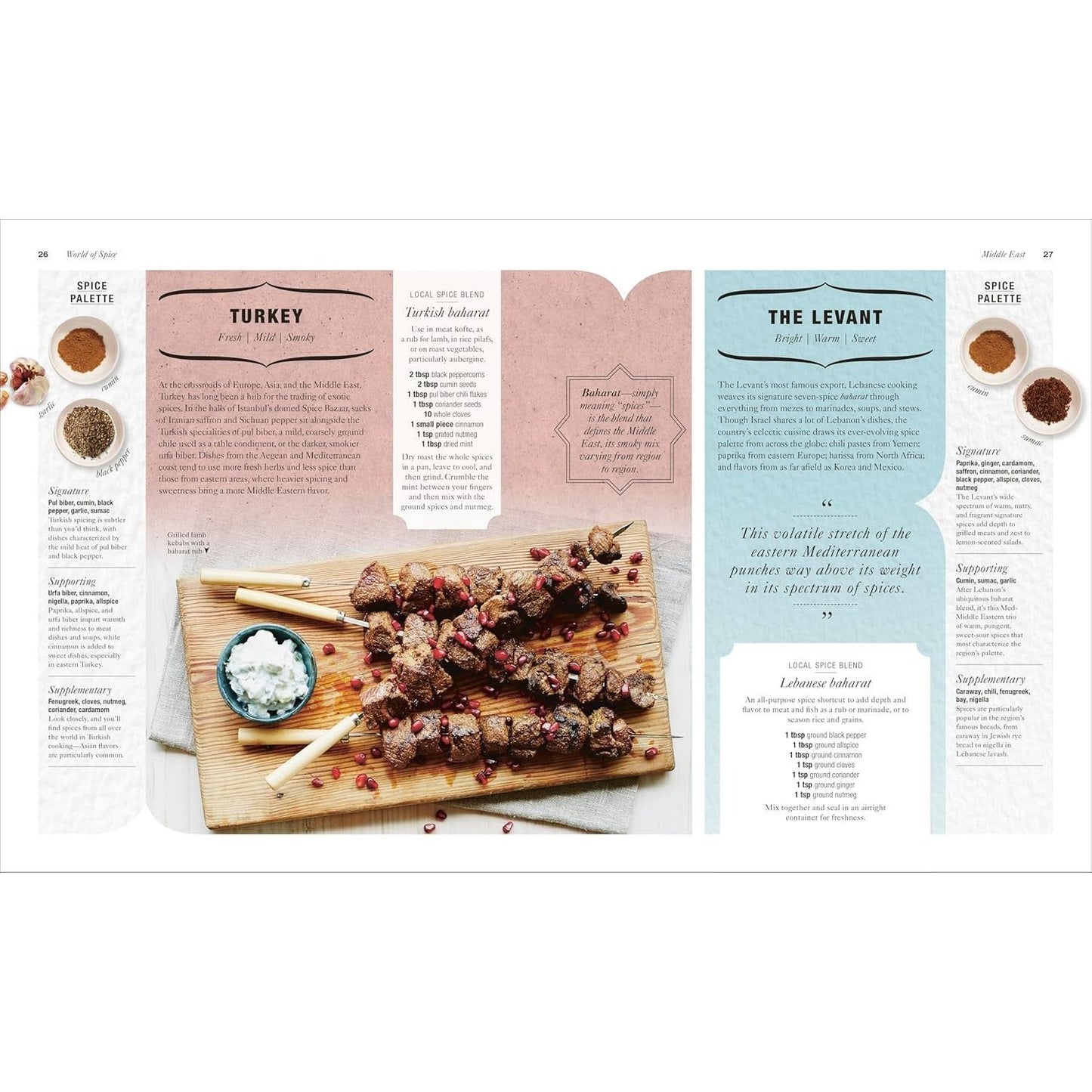 The Science of Spice: Understand Flavor Connections and Revolutionize Your Cooking (Spiral Bound)