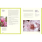 Forage & Feast: Recipes for Bringing Mushrooms & Wild Plants to Your Table: A Cookbook