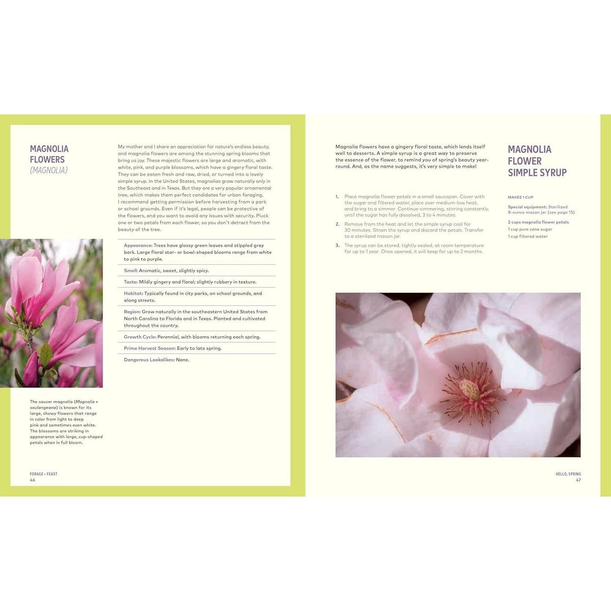 Forage & Feast: Recipes for Bringing Mushrooms & Wild Plants to Your Table: A Cookbook
