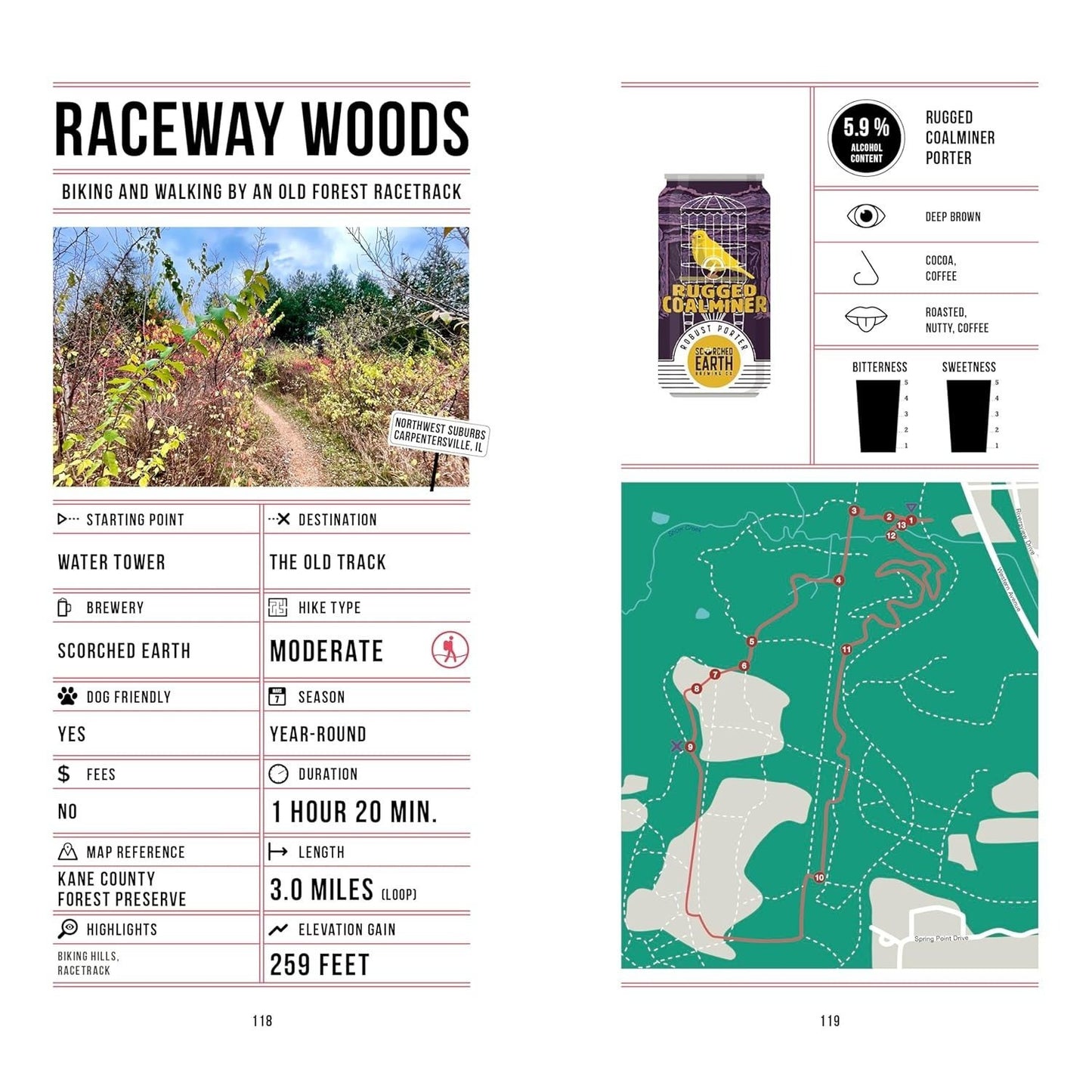 Beer Hiking Chicago: The Tastiest Way to Discover the Windy City