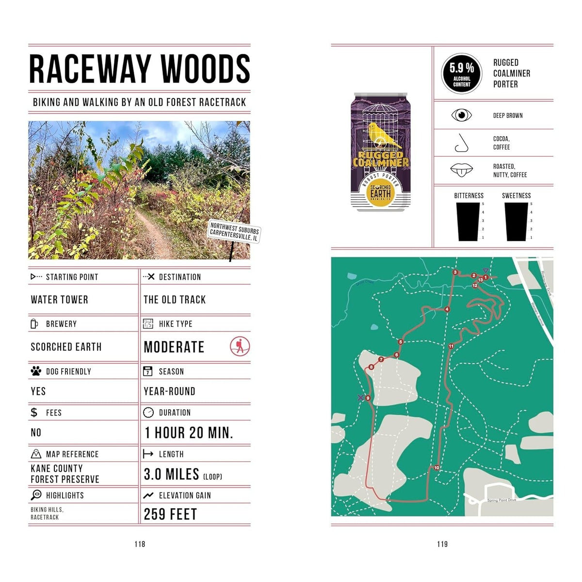 Beer Hiking Chicago: The Tastiest Way to Discover the Windy City