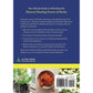 The Practical Herbal Medicine Handbook: Your Quick Reference Guide to Healing Herbs & Remedies