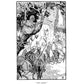 The Blue Fairy Book