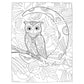 Creative Haven Owls Coloring Book
