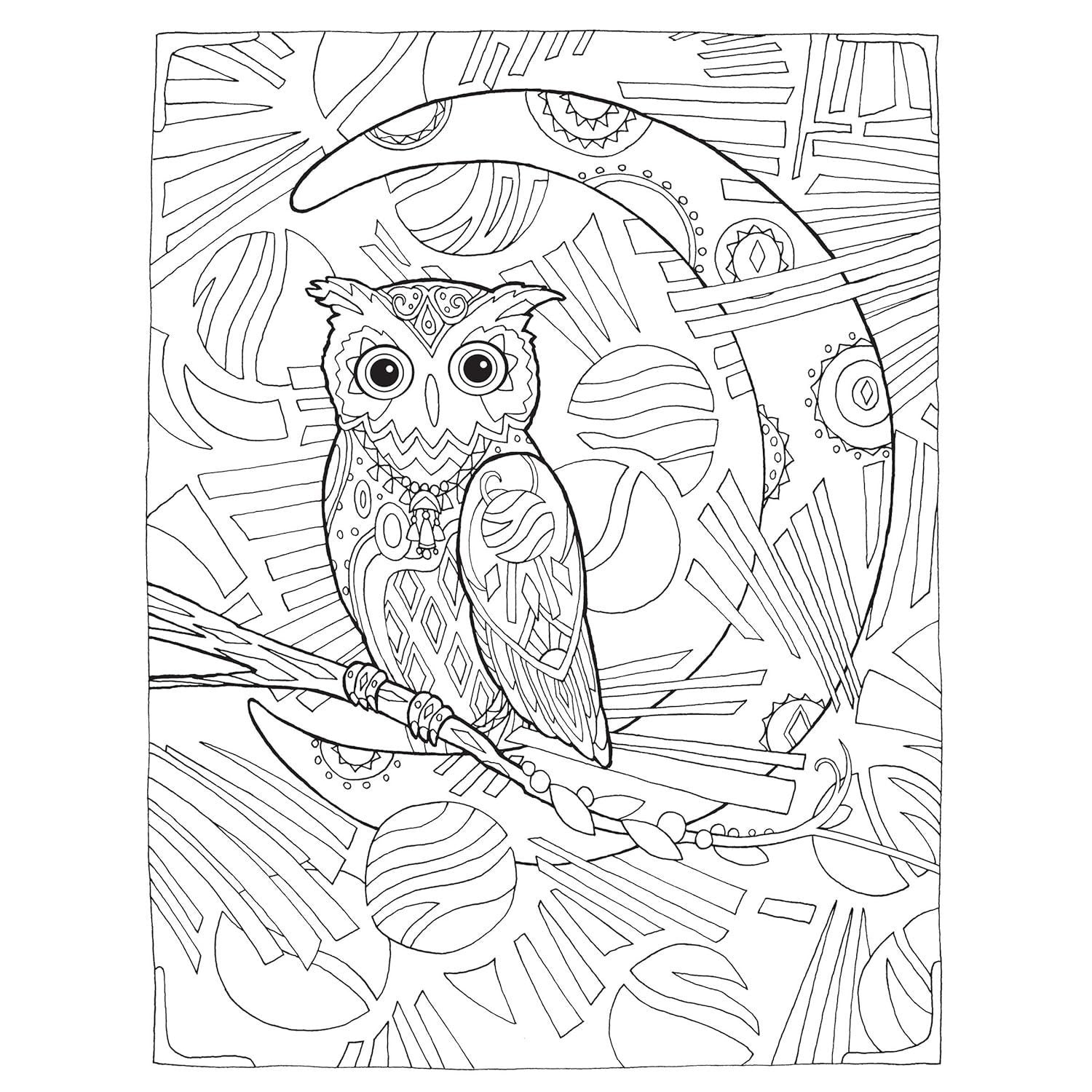 Creative Haven Owls Coloring Book