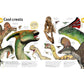 Our World in Pictures the Dinosaur Book (DK Our World in Pictures) (Spiral Bound)