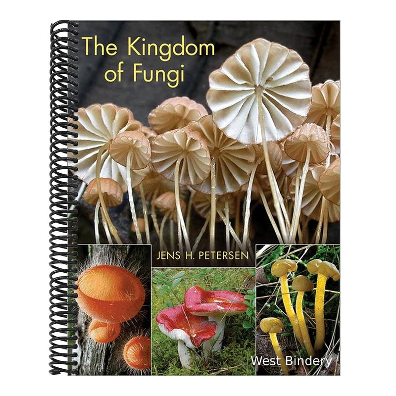 The Kingdom of Fungi
