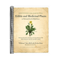 Identifying and Harvesting Edible and Medicinal Plants