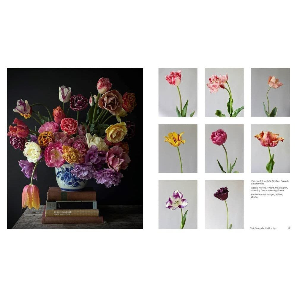 A Sweet Floral Life: Romantic Arrangements for Fresh and Sugar Flowers [A Floral Décor Book] (Spiral Bound)